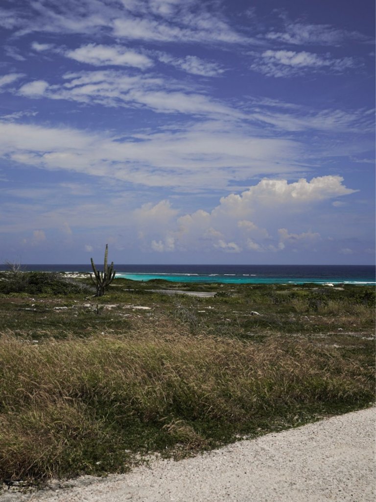 Bachelor Beach, one of the most rugged 
 and best beaches in Aruba!