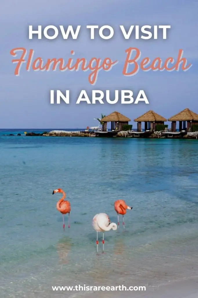Visiting Flamingo Beach, Aruba on Renaissance Island pin.