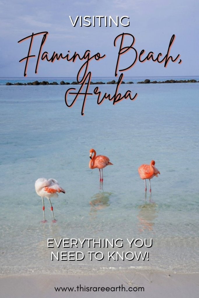 Visiting Flamingo Beach, Aruba on Renaissance Island - Pin.