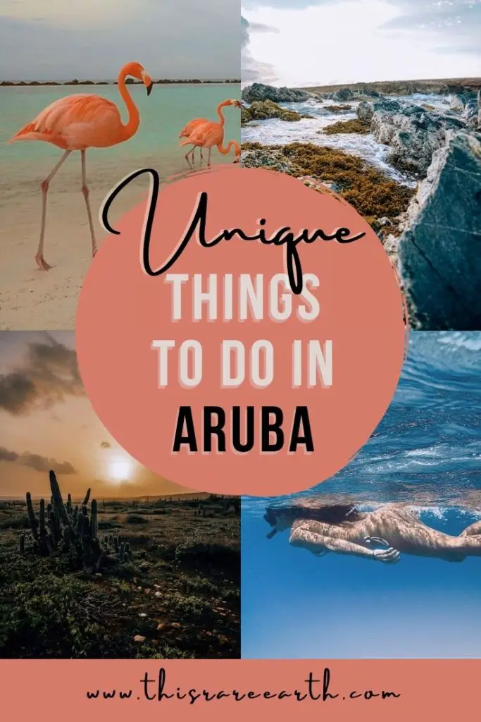 Unique Things to Do in Aruba pin eaturing snorkeling, cacti, and flamingos.