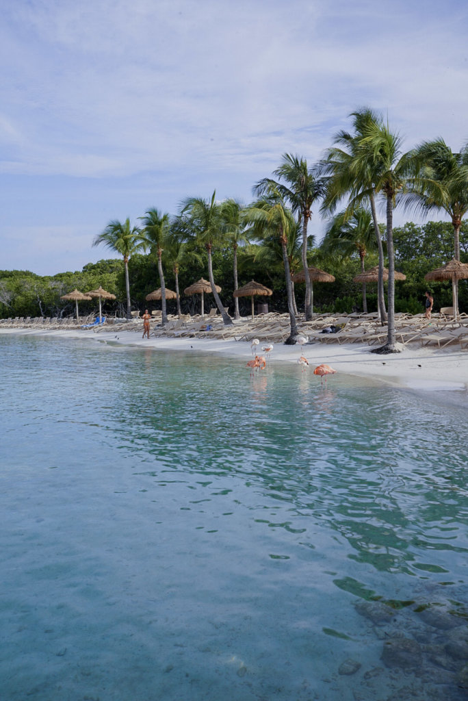 The calm blue waters seen when Visiting Flamingo Beach, Aruba on Renaissance Island.