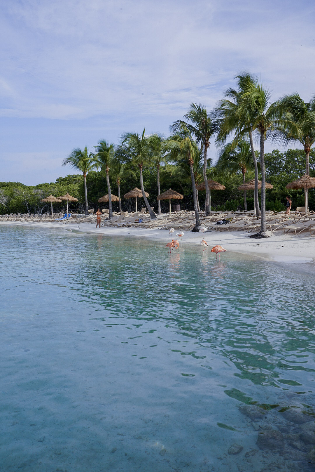 Visiting Flamingo Beach, Aruba on Renaissance Island - This Rare Earth