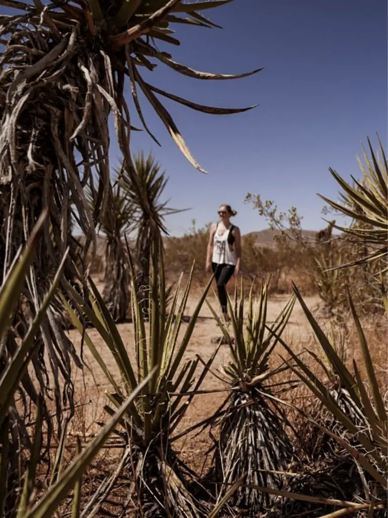 Monica hiking in Joshua Tree - - a must-see on your Southern California Bucket List!