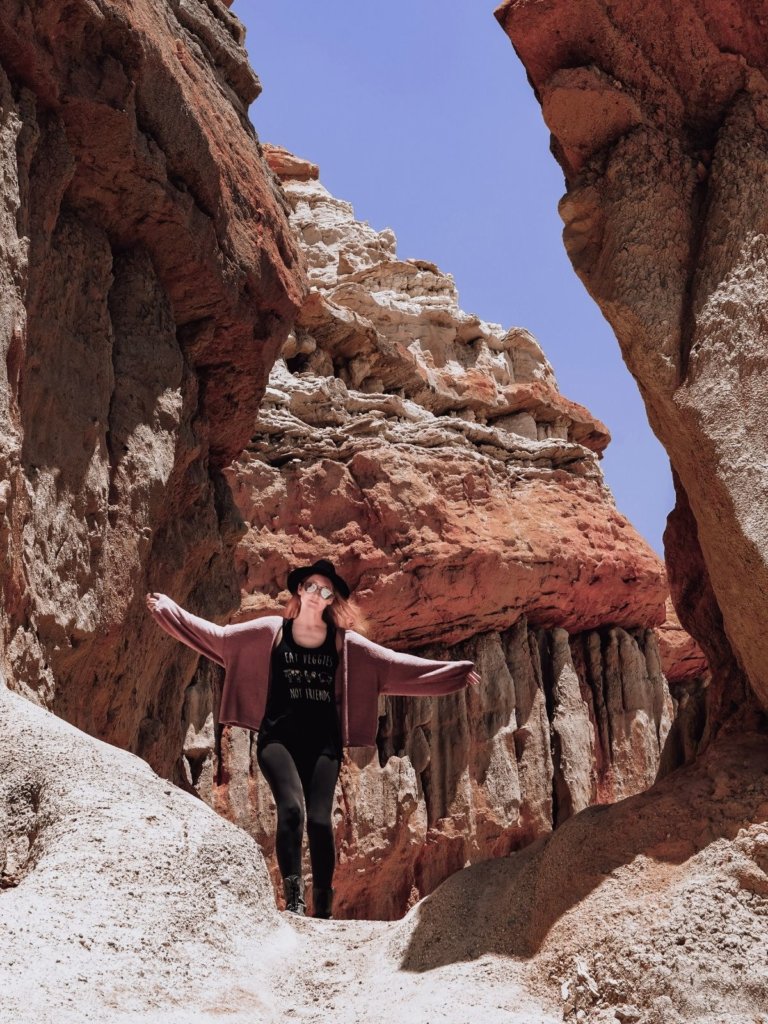 The tall red cliffs at Red Rock Canyon State Park - a must-see on your Southern California Bucket List!