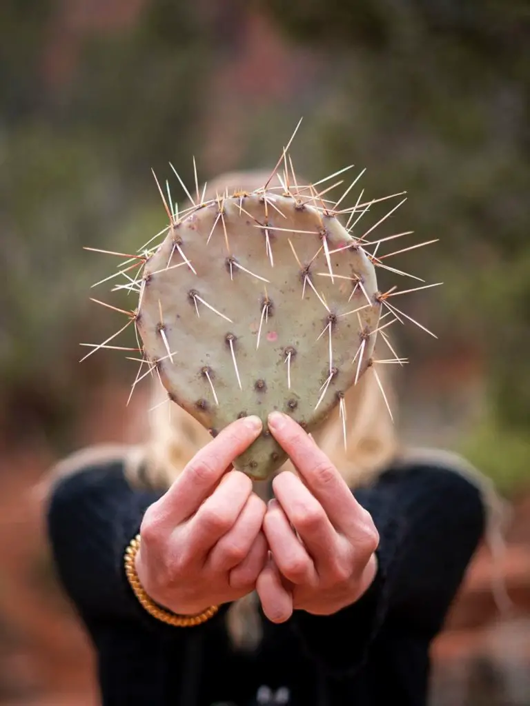 A girl holding a prickly pear cactus.