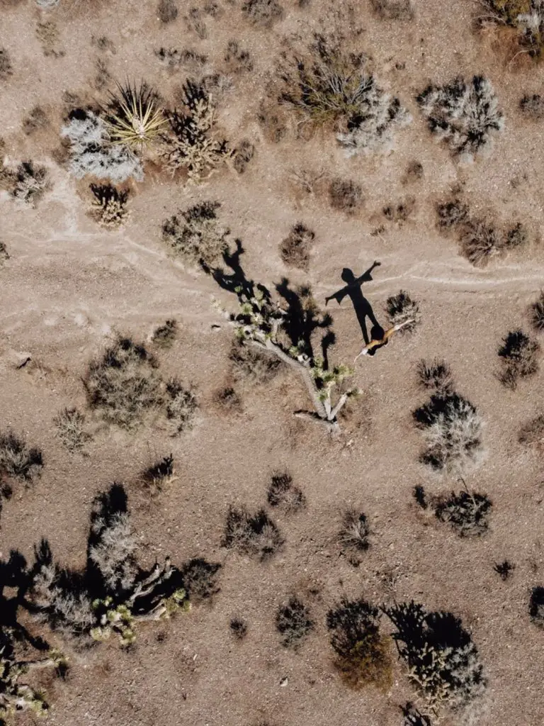 An overhead view of the Mojave Desert - a great weekend getaway from San Diego.