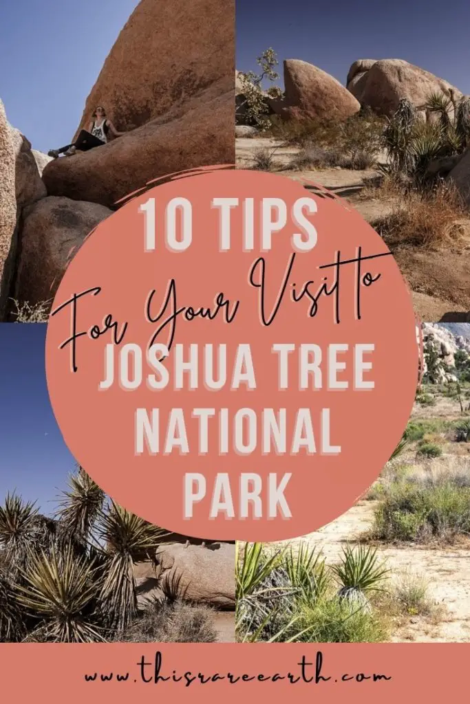 10 Tips for Visiting Joshua Tree National Park Pin.