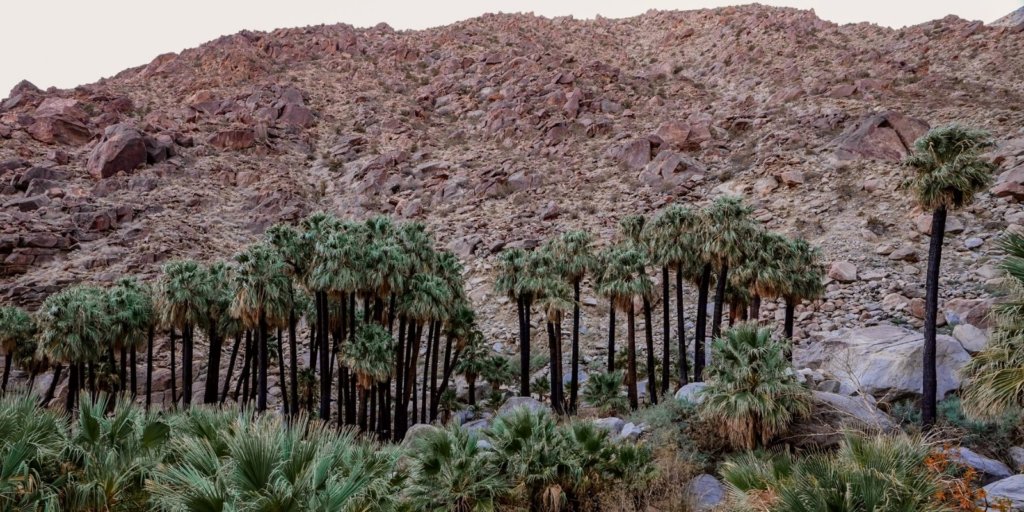 Hiking The Slot Canyon In Anza Borrego This Rare Earth 3707