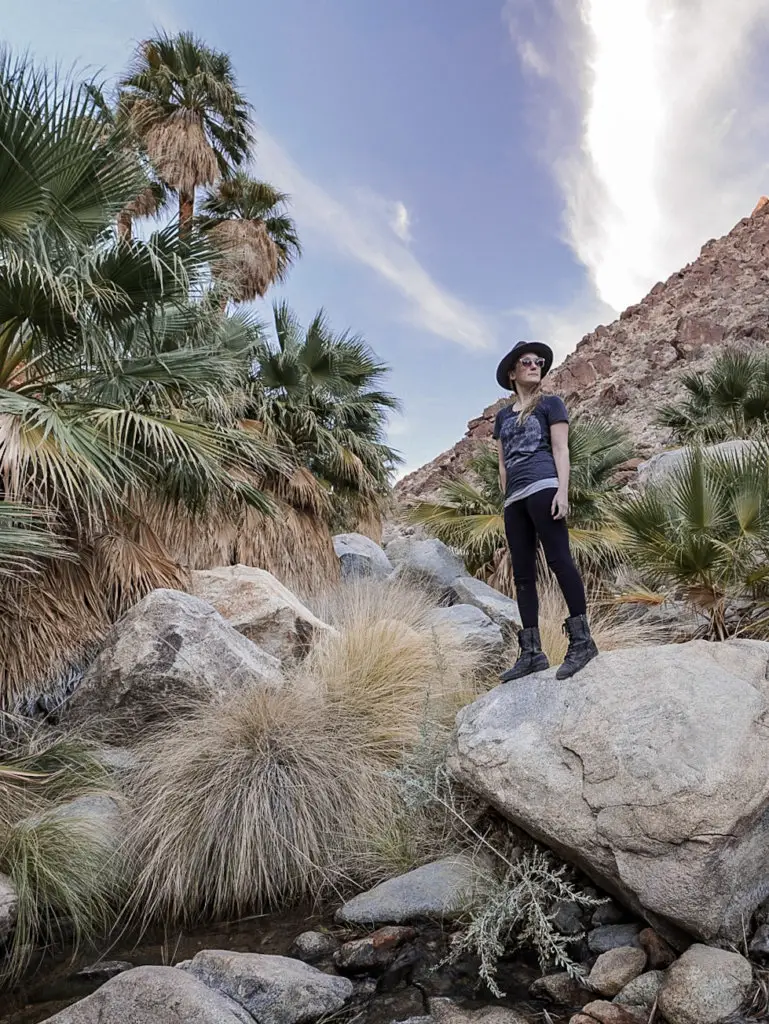 Monica hiking the Borrego Palm Canyon trail- one of the Anza Borrego Hikes You Cannot Miss! in Anza Borrego State Park, CA.