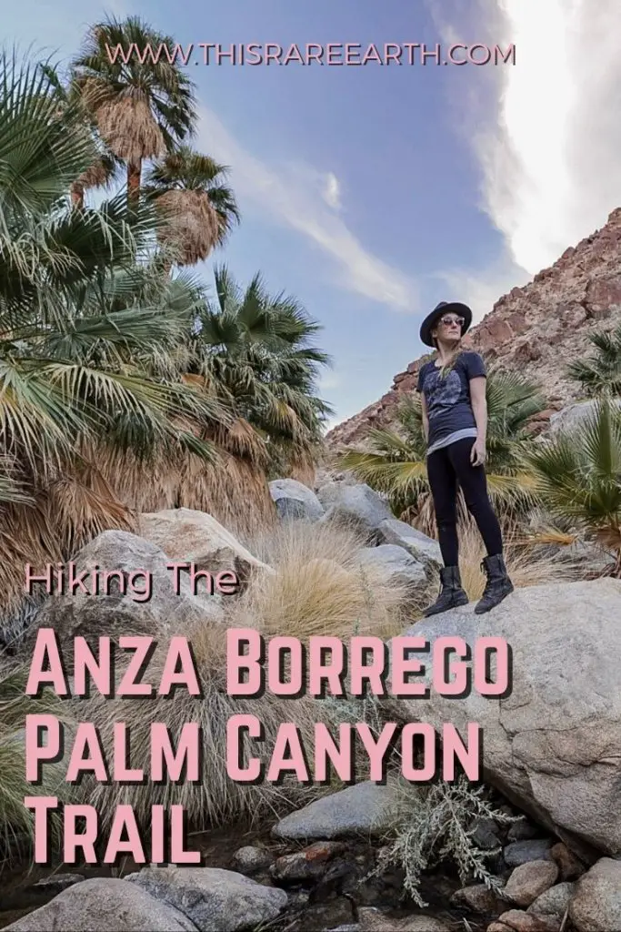 Hiking the Anza Borrego Palm Canyon Trail Pinterest pin.