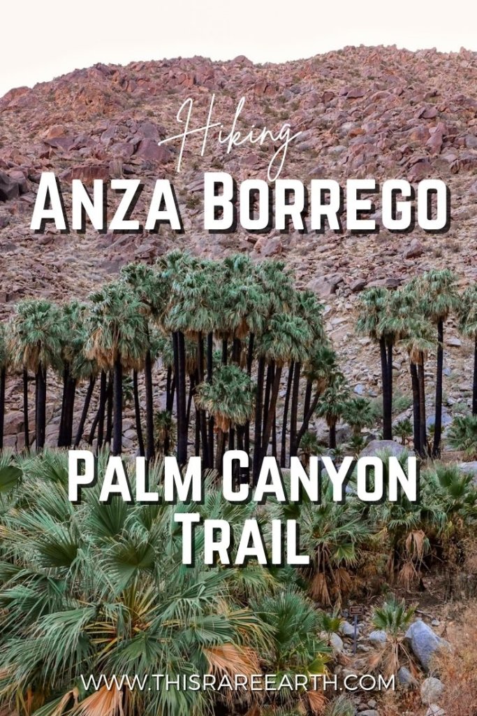 Hiking the Anza Borrego Palm Canyon Trail Pinterest pin.