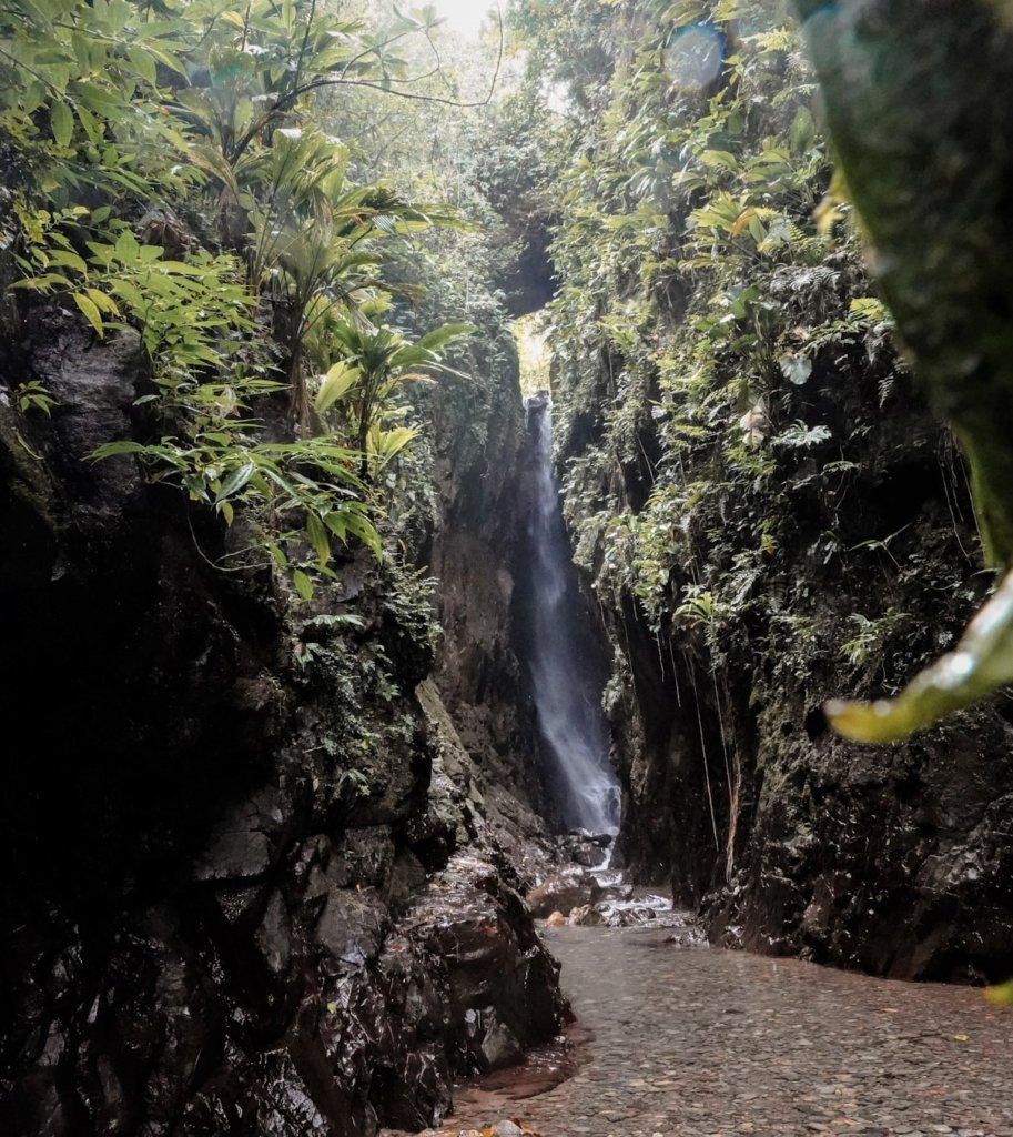 The Celestine Waterfall surrounded by cliffs and plant life.