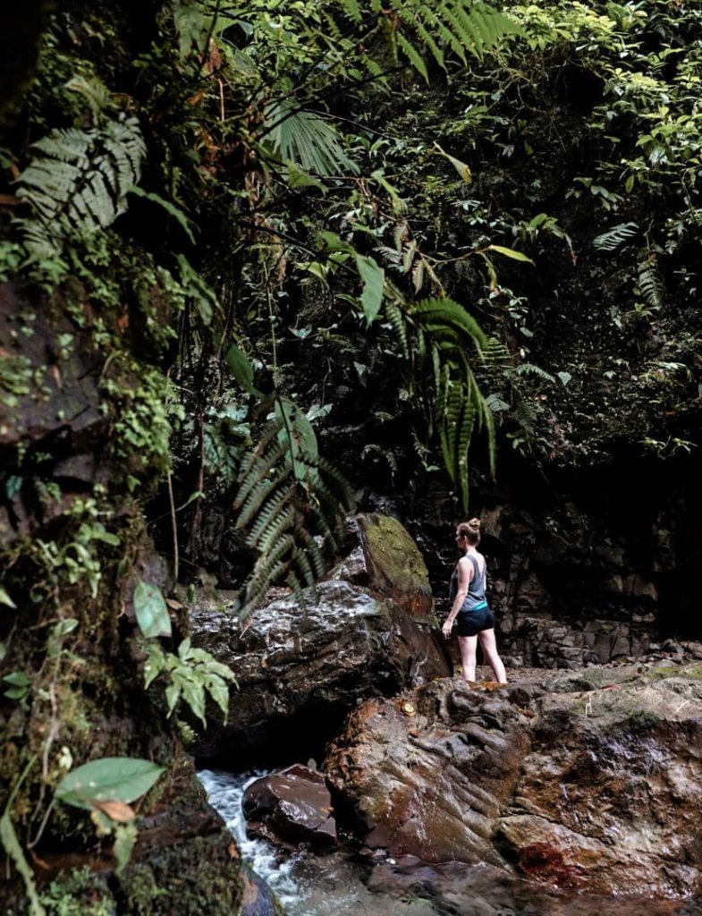 Monica hiking toward the Celestine Waterfall.