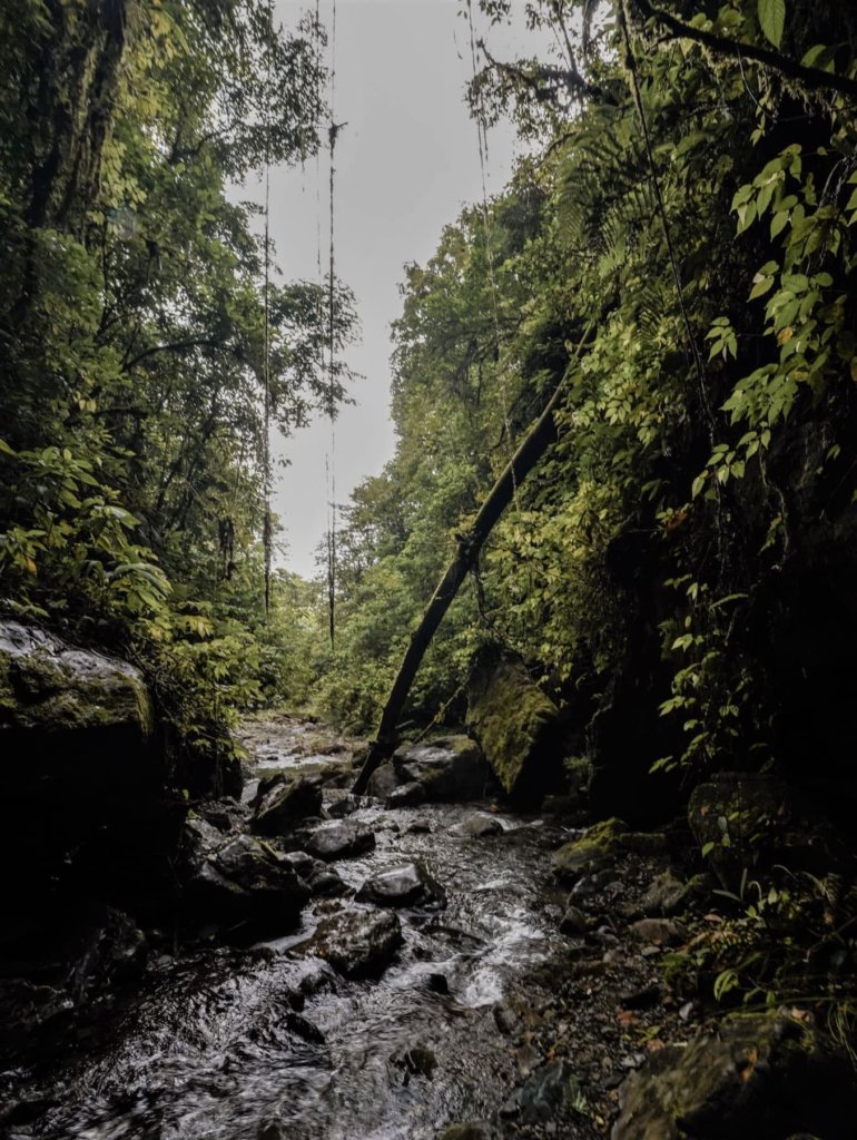 Rushing water leading to the Celestine Waterfall Hike Chiriqui, Panama.