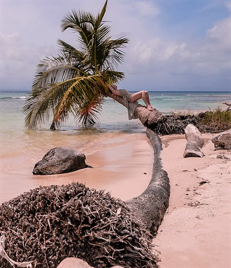 Monica Visiting the San Blas Islands, Panama, relaving on a palm tree on the shore.