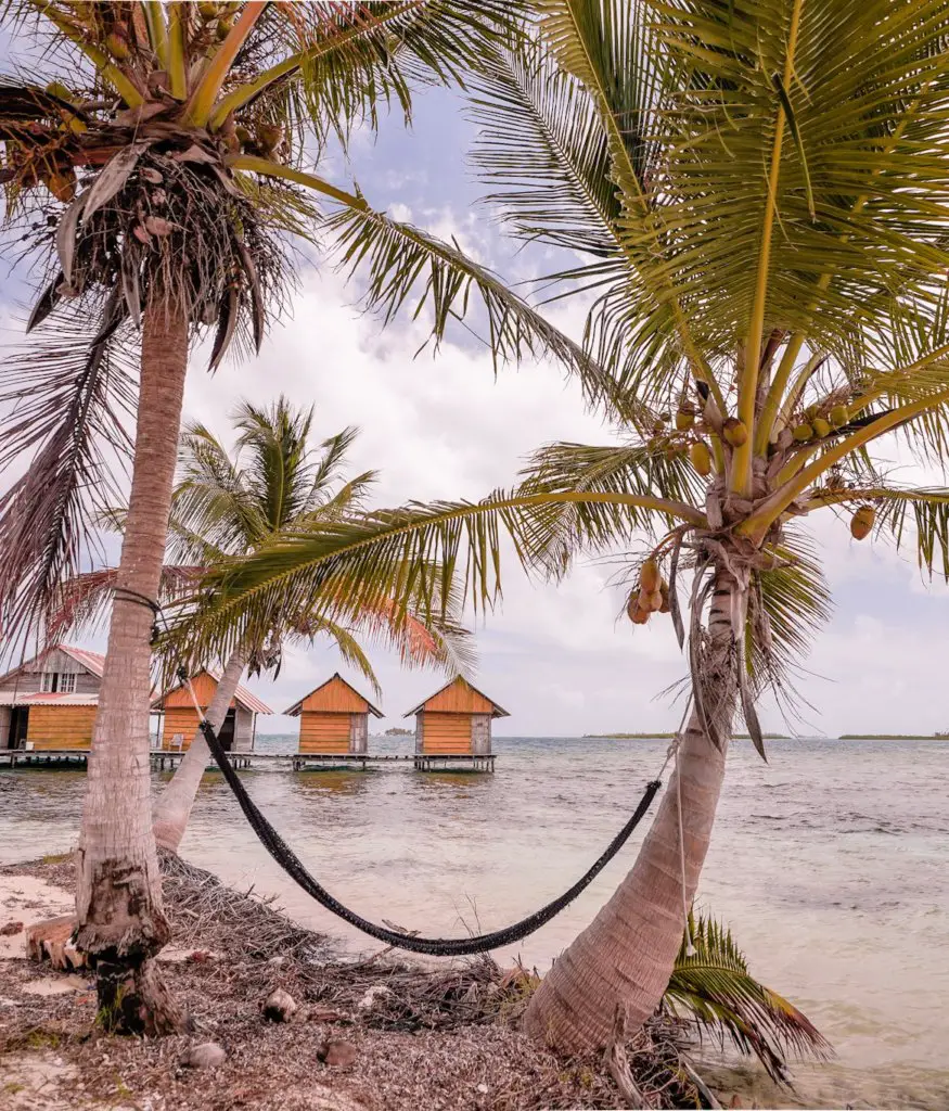 Palm trees, a hammock, and the yellow bungalows on Wailidup Island. This is on the San Blas Islands, Panama.