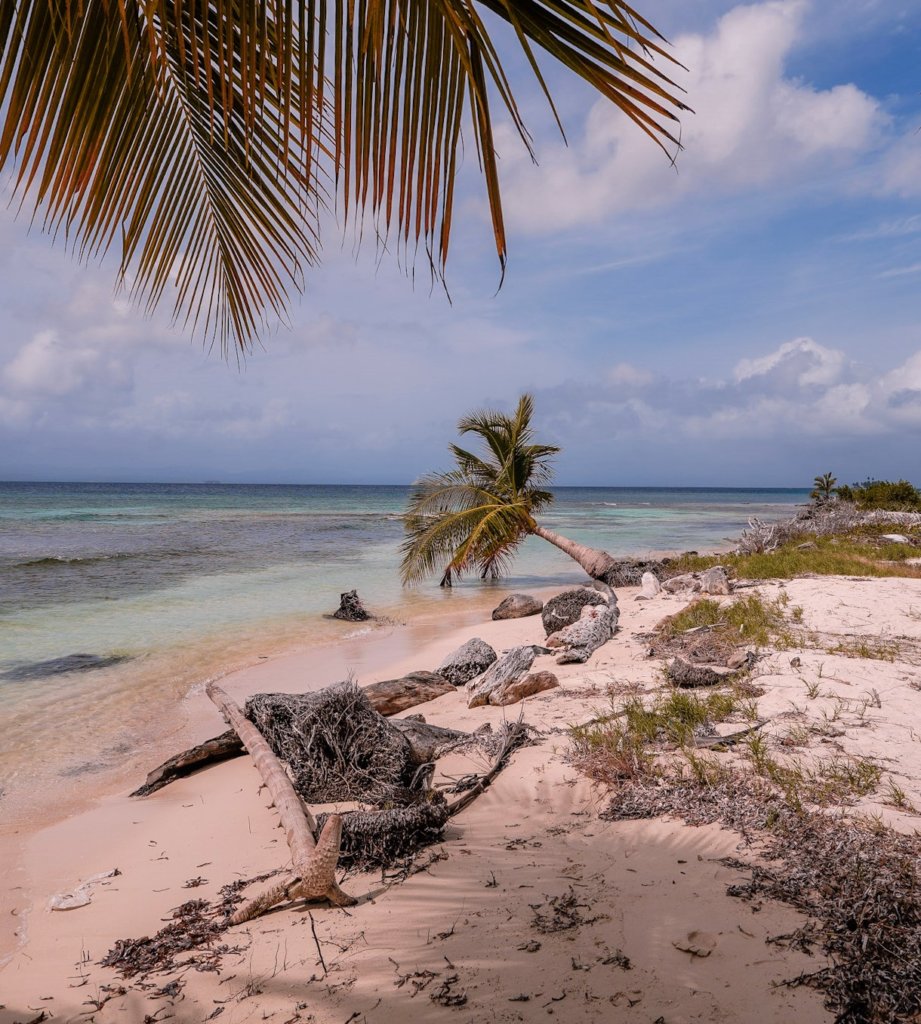 The natural sea shore on Wailidup Island in San Blas Panama.