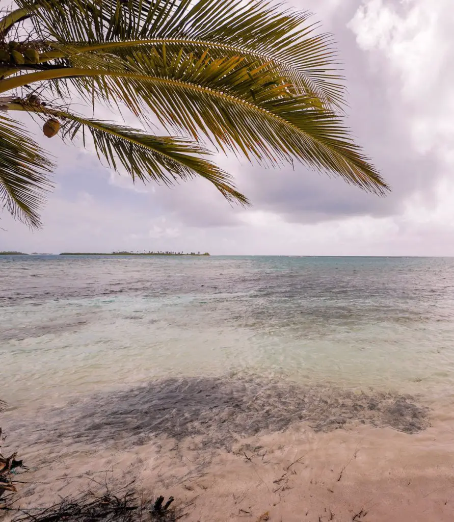 The clear ocean you will see when Visiting the San Blas Islands, Panama.