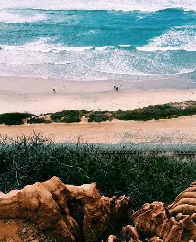 Torrey Pines, a must see spot on a Pacific Coast Highway Itinerary: 7 Days Road Trip.