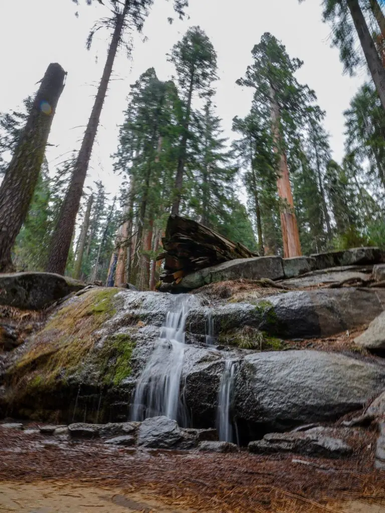 A small waterfall seen on Congress Trail - A Complete Travel Guide to Sequoia National Park.
