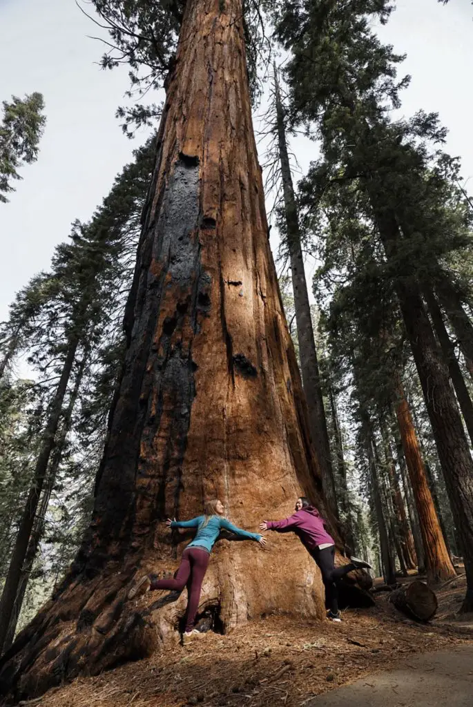 Monica and Dana hugging a huge Sequoia - A Complete Travel Guide to Sequoia National Park.