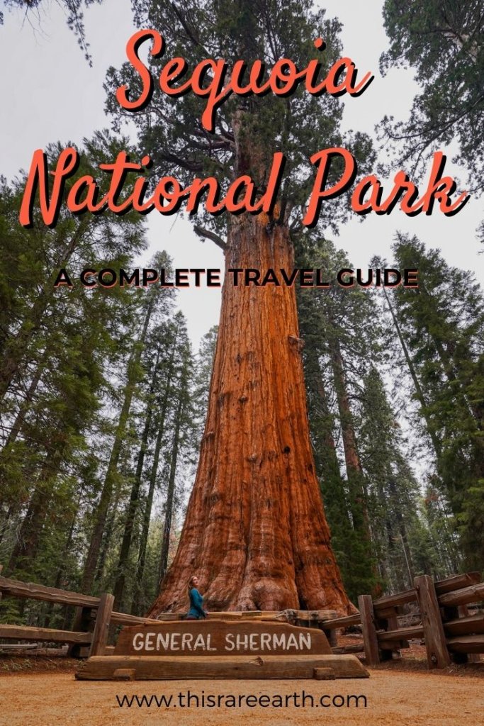 A Complete Travel Guide to Sequoia National Park pinterest pin.