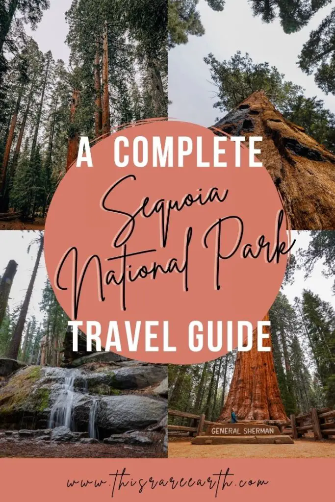 A Complete Travel Guide to Sequoia National Park pinterest pin.