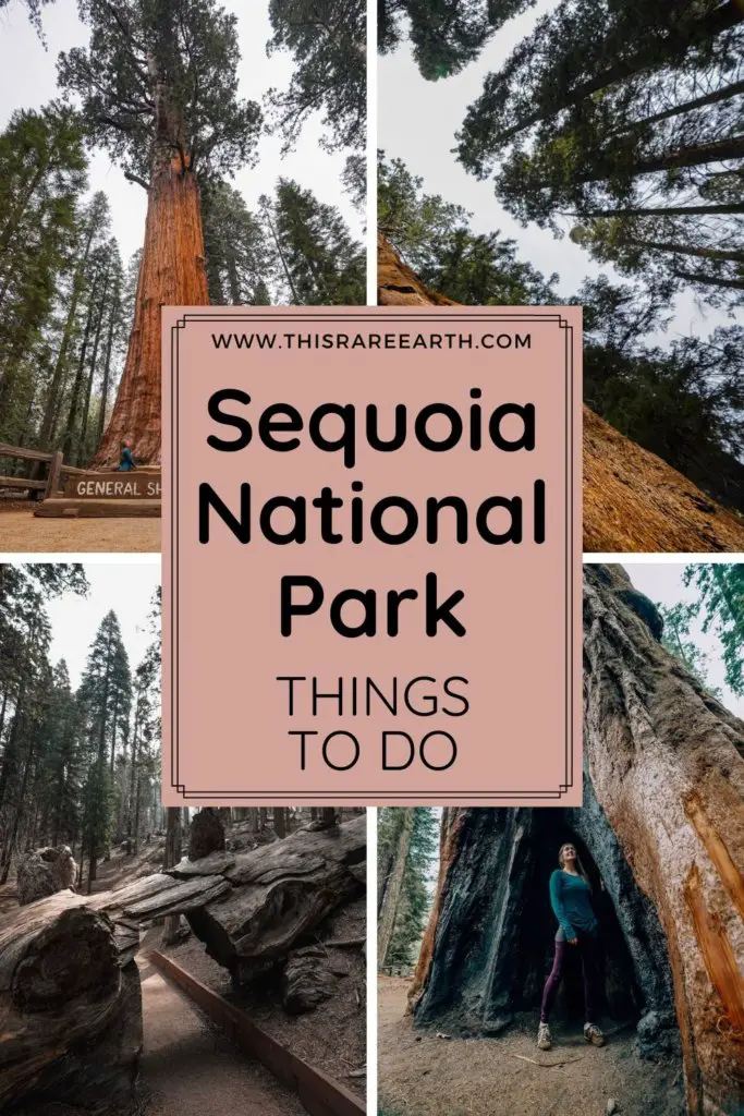 The Best Things To Do in Sequoia National Park pinterest pin.