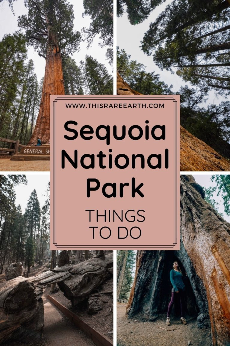 The Best Things to Do in Sequoia National Park - This Rare Earth