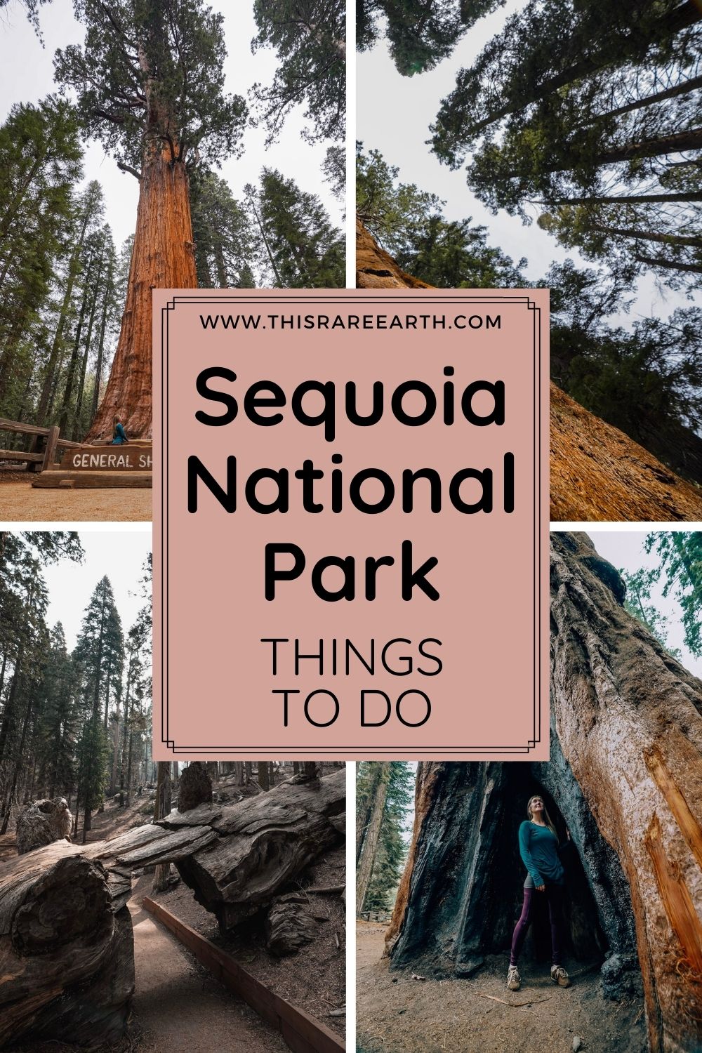 The Best Things To Do In Sequoia National Park - This Rare Earth