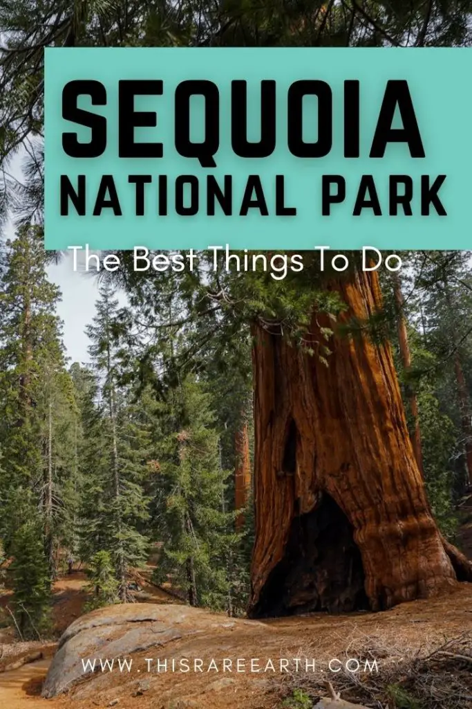 The Best Things To Do in Sequoia National Park pinterest pin.