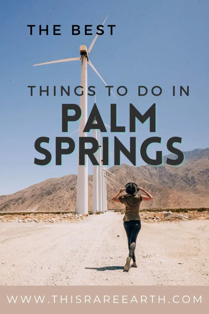 The best activities and things to do in Palm Springs Pinterest pin.