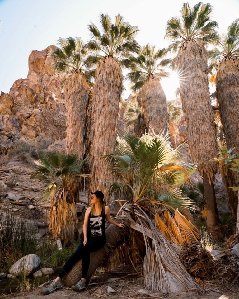 Monica leaning on a palm tree after hiking Andreas Canyon, one of The Perfect Weekend in Palm Springs activities.