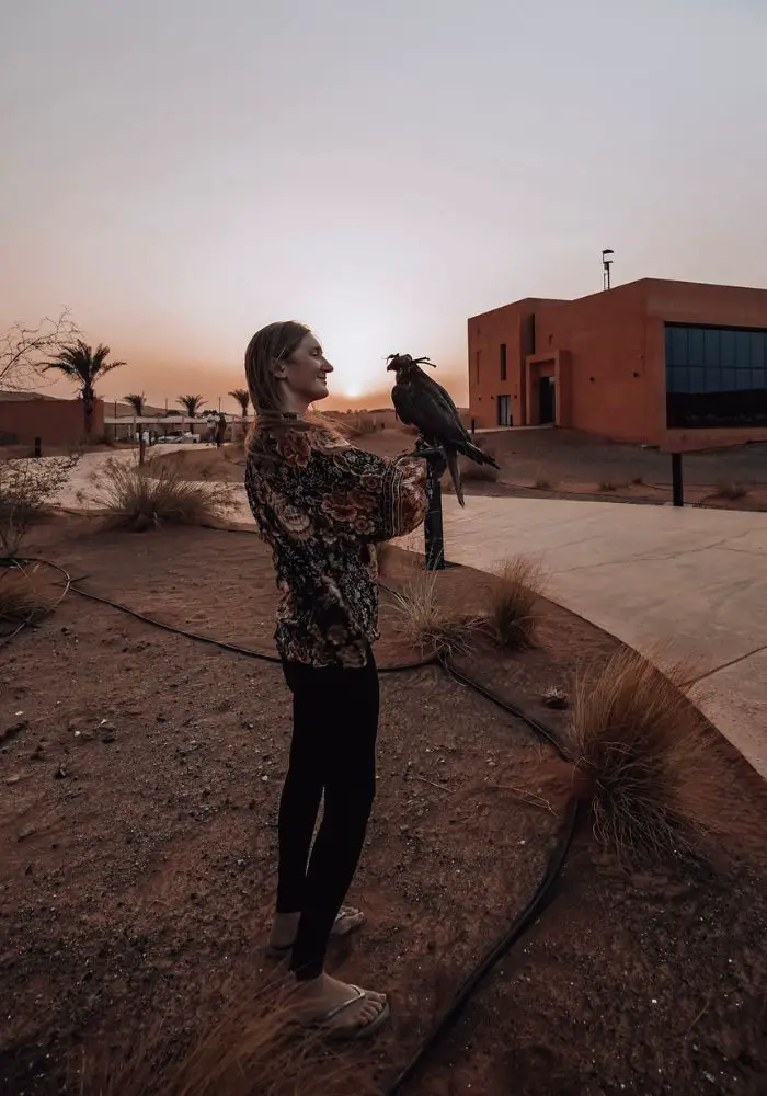 Monica with a trained falcon at sunset - Is It Safe to Travel to Dubai as a Solo Female?