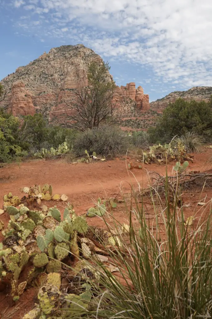 Colorful mountains will serve as the backdrop for your One Day in Sedona.