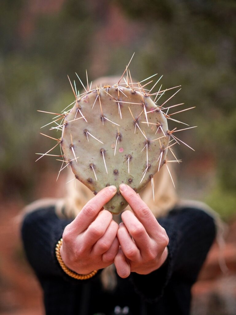 A prickly pear cactus carefully held in two hands - you will see these cacti on your One Day in Sedona!