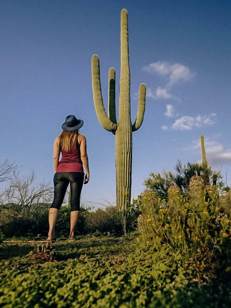 Monica hiking the cactus-filled Saguaro National Park, one of The Best Day Trips From Phoenix, Arizona.