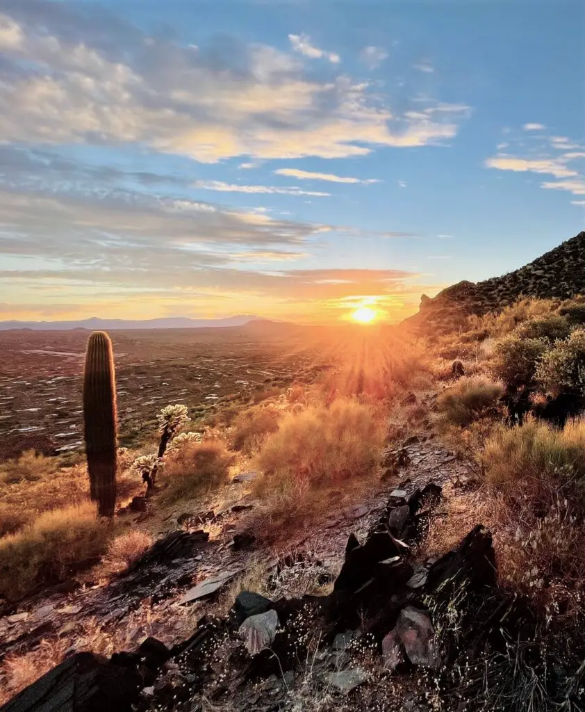 Sunset at Cave Creek Regional Park - one of the best places to See the Saguaro Cactus in and Near Phoenix.