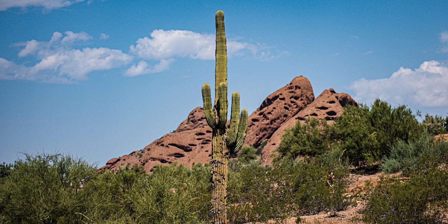 The Best Things to Do in Phoenix, Arizona - This Rare Earth