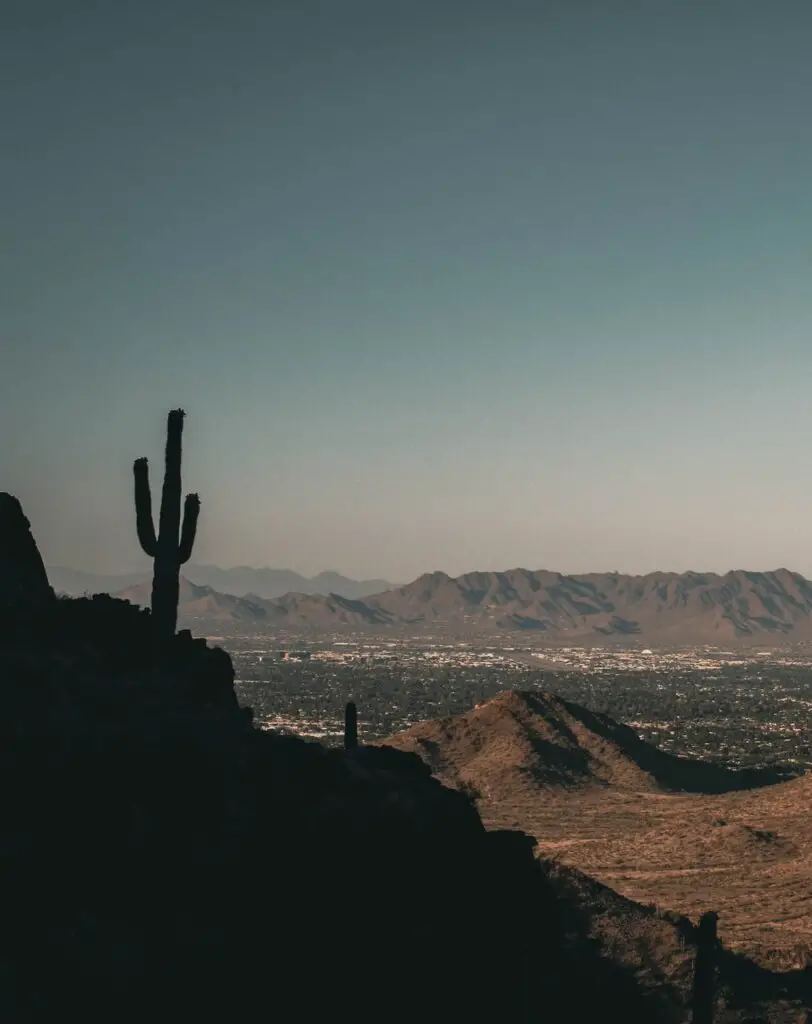 Phoenix Mountains Preserve overlooking the city - one of the best places to See the Saguaro Cactus in and Near Phoenix.