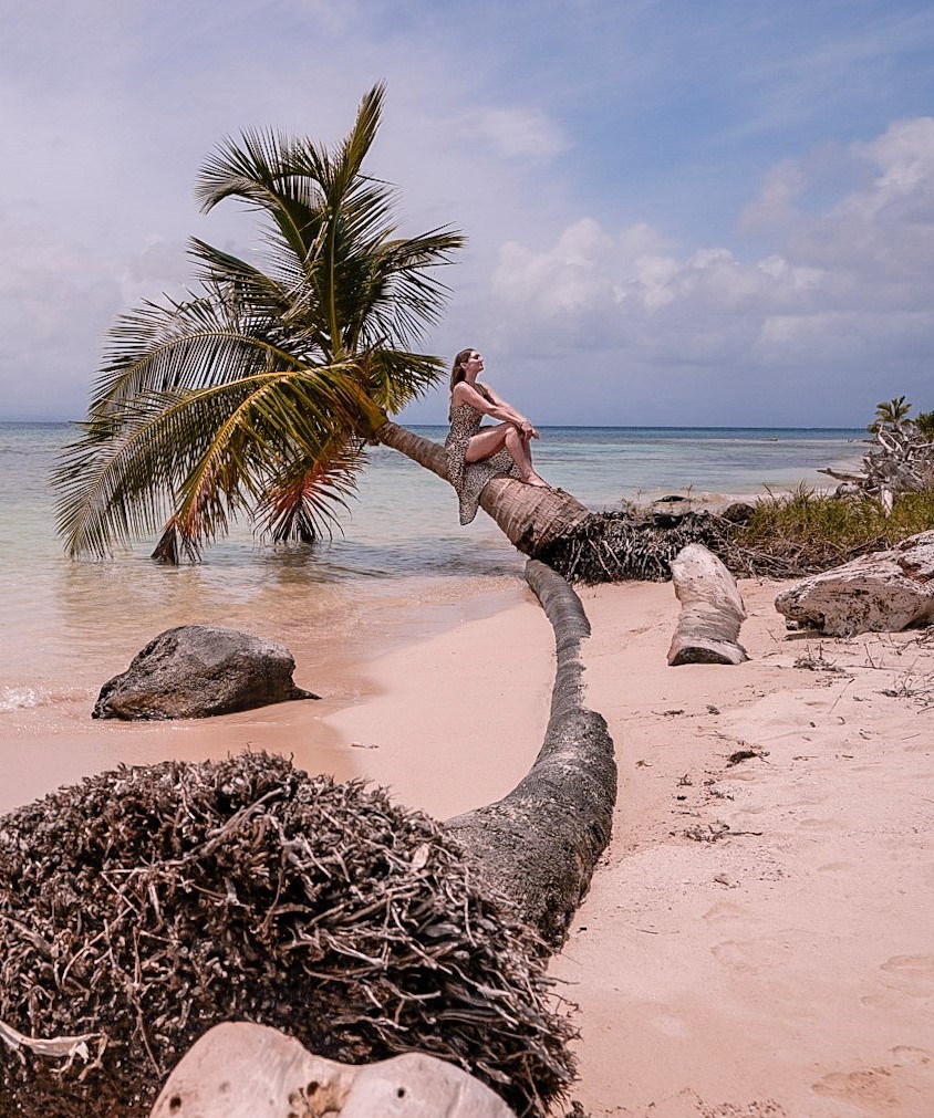 Monica traveling solo in Panama, sitting on a palm tree - Solo Female Taxi Safety Tips .