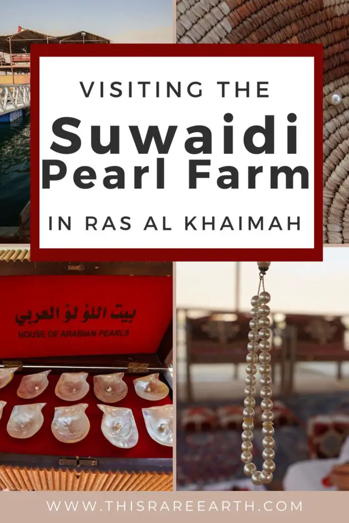 Visiting the Suwaidi Pearl Farm in RAK Pinterest pin.