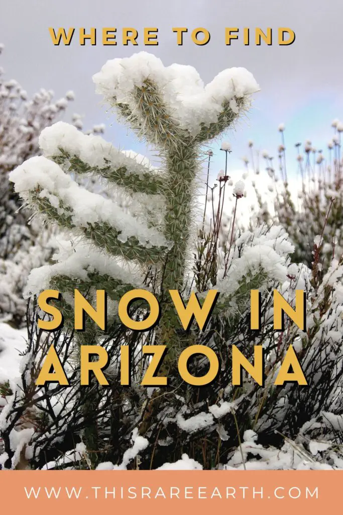 Where to See Snow Arizona Pinterest pin.