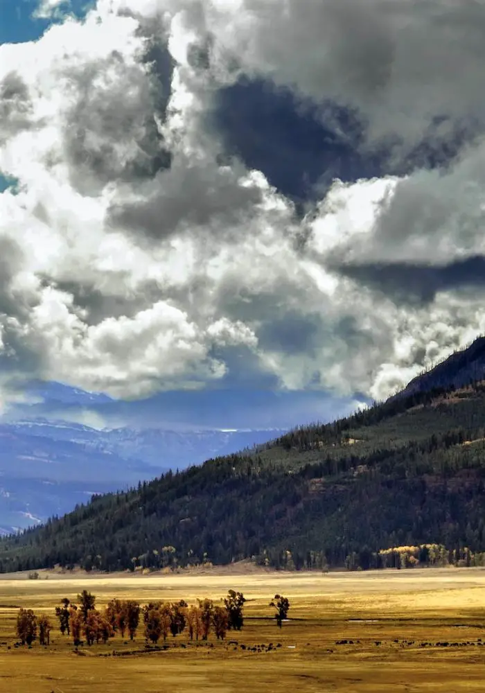 The yellow plains and mountains, a sight you will see on A Salt Lake City to Yellowstone National Park Road Trip.