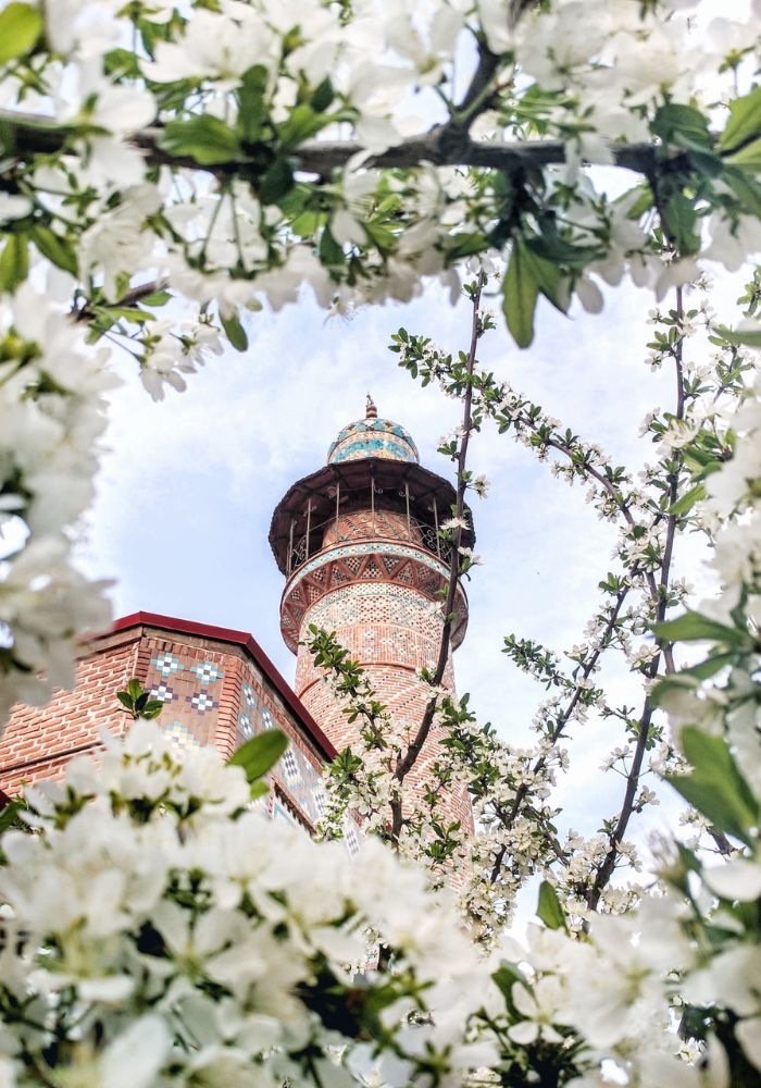 A glimpse of the Blue Mosque, one of my favorite stops on a One Week Armenia Itinerary.