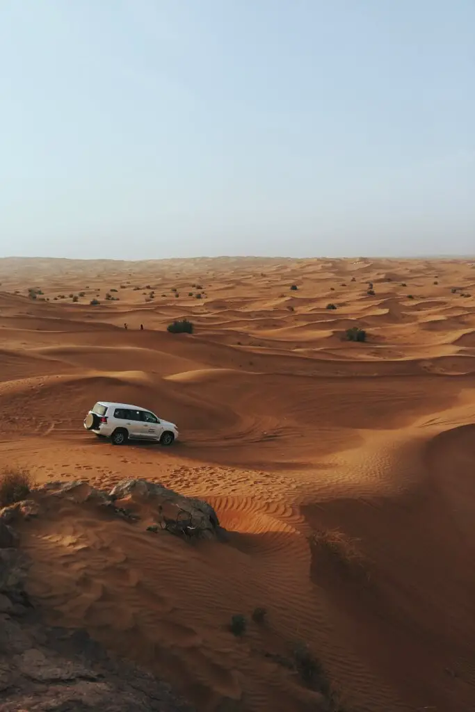 Dubai desert safari - Is Dubai Worth Visiting? 