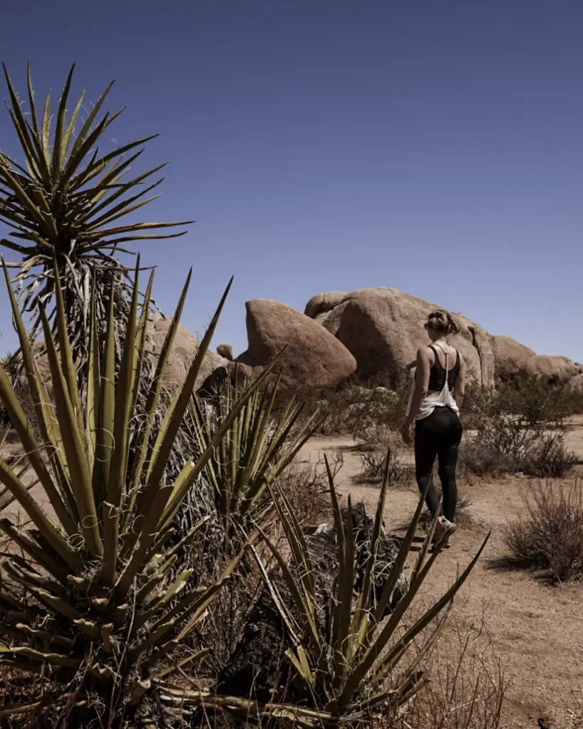 Monica hiking in Joshua Tree after the Los Angeles and Joshua Tree road trip.