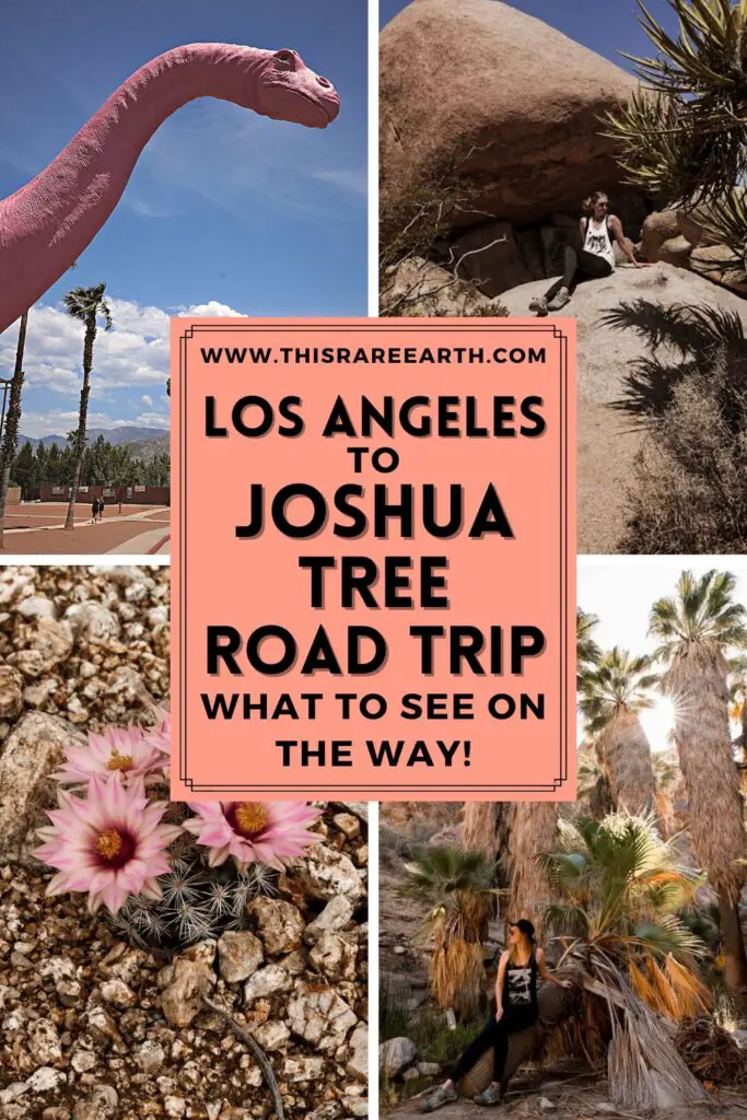 A Los Angeles and Joshua Tree road trip Pinterest pin.