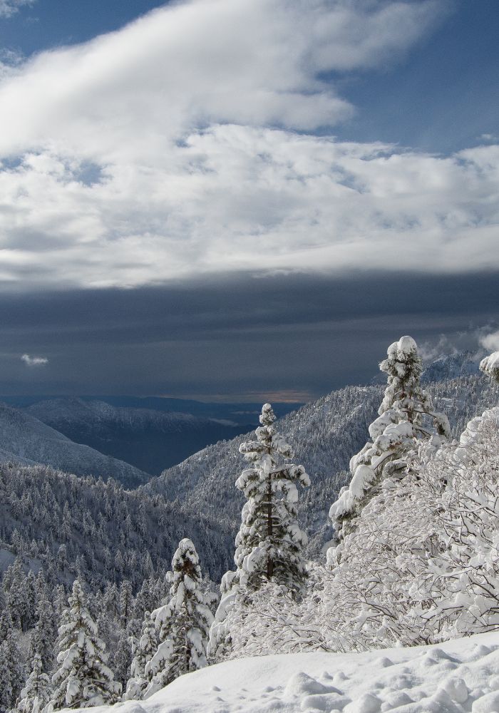 Does It Snow in California?