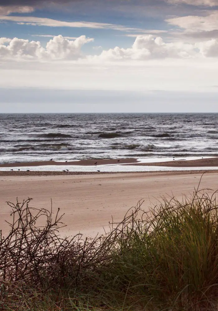The Baltic sea shore - Interesting Facts about Lithuania.